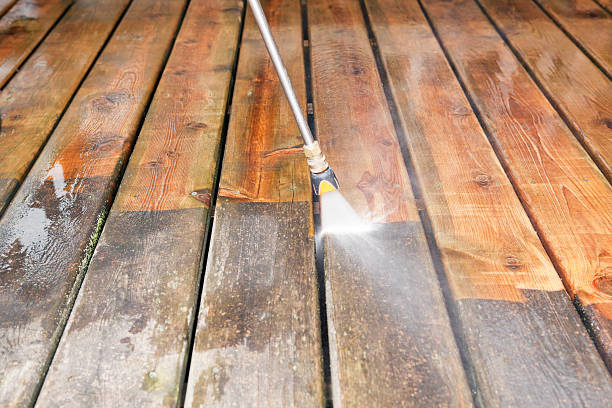 Best Gutter Cleaning  in Annandale, MN